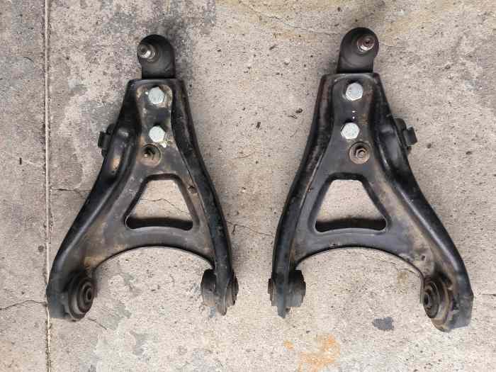 Triangle Renault sport clio ragnotti gr.N 0