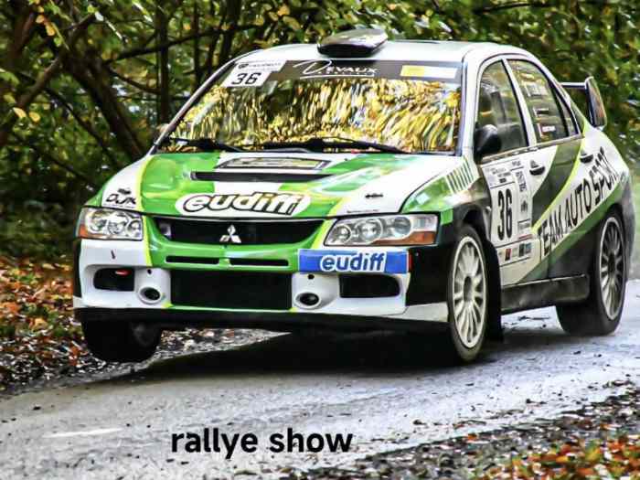 Vends ou échange Mitsubishi Evo 9 r4