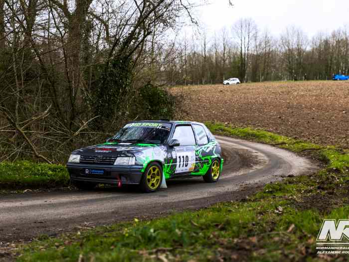 Peugeot 205 rallye grA 2