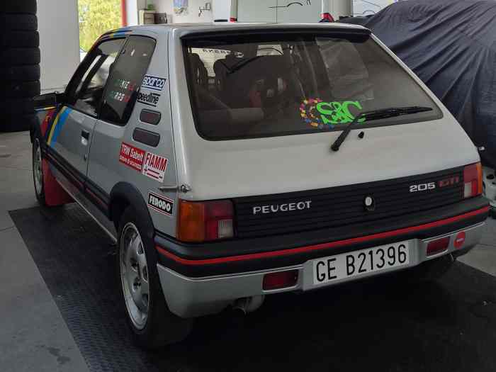 Peugeot 205 GTI 1.9 Gr. N 1