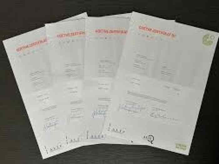 WhatsApp +31 6 87546855 apply B1 Deutsch Goethe zertifikat in Dubai