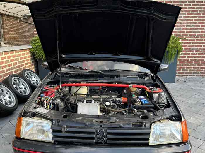 Peugeot 205 GTI 3