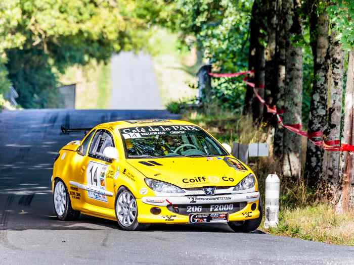 206 Rcc F2014 1