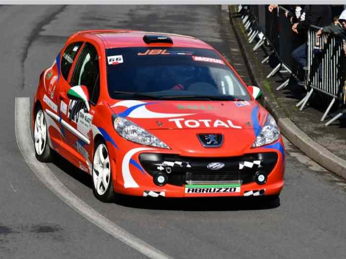 PEUGEOT 207 A4 (COURSE DE COTE)