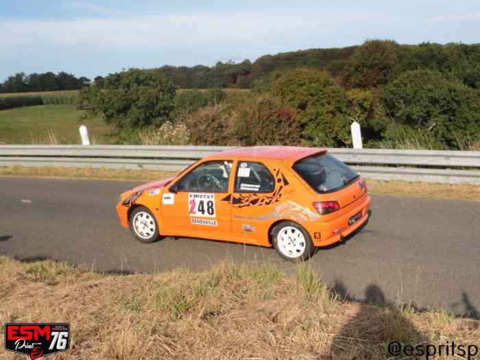 306s16 n3 0