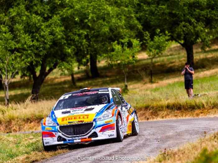 Peugeot 208 T16 accidenté 1