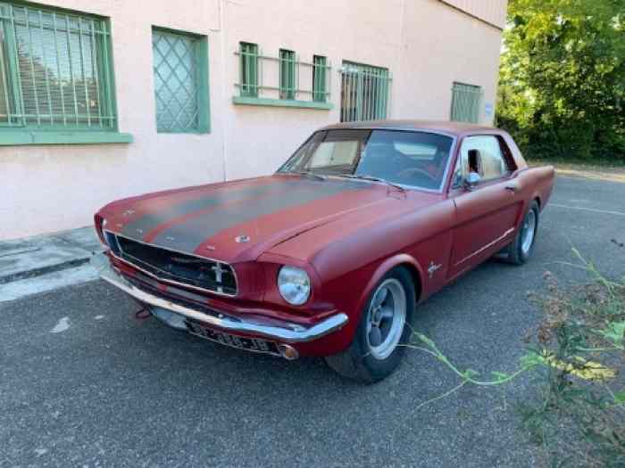 ford mustang fia 1965 4