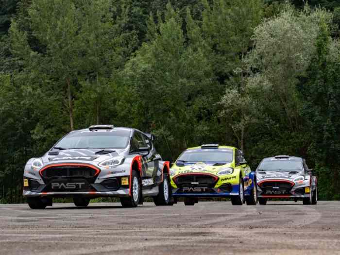 PAST RACING FORD FIESTA RALLY2 FOR RENT 2