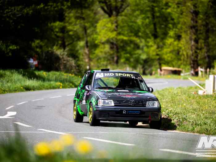 Peugeot 205 rallye grA 1