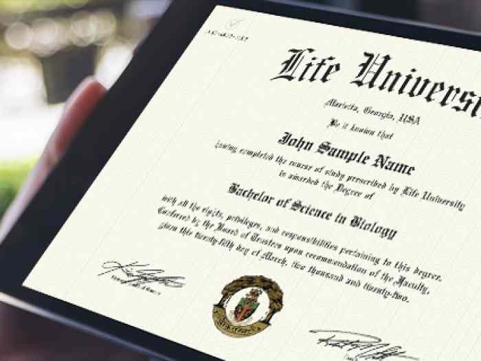 WhatsApp +31 6 87546855 buy degree certificate in USA, Buy UK University Degree, Buy Bachelor Degree Diploma Australia