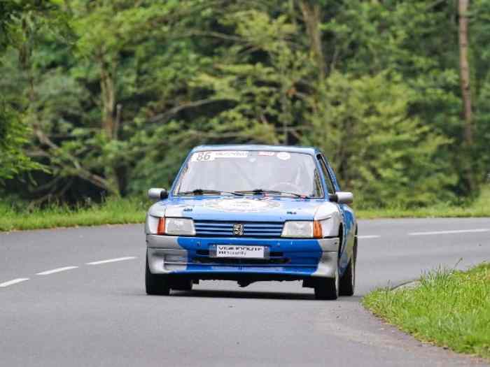 205 gti f2-13 1