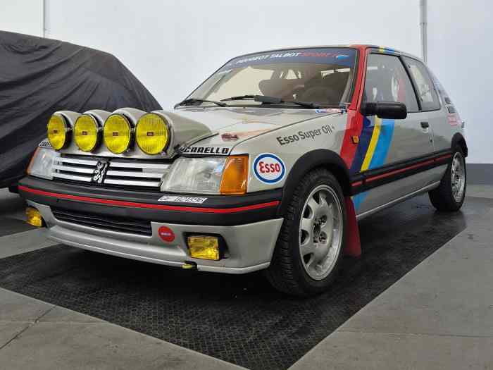 Peugeot 205 GTI 1.9 Gr. N 0