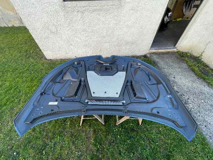 Capot carbone Mégane 4RS Trophy R 2