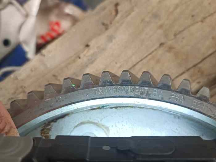 Couple court 14x67 transconcept 3