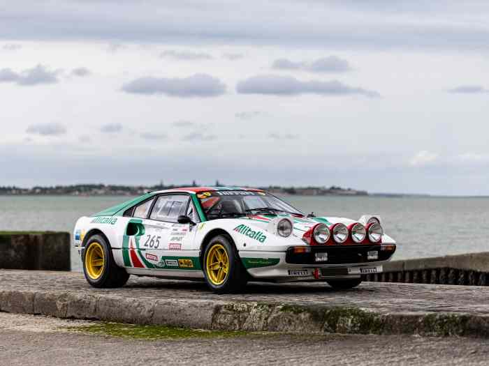 1980 – Ferrari 308 Gr. 4 (R) FIA 0