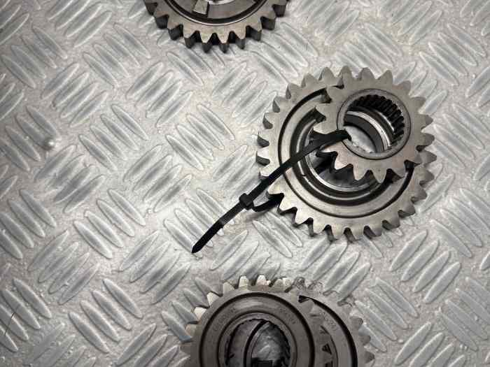 Pignons sl75/14 sadev