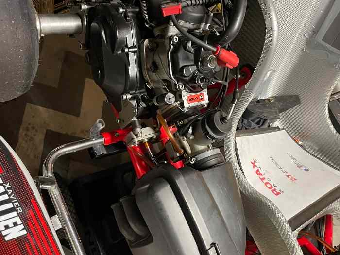 Rotax DD2 EVO 2023 5