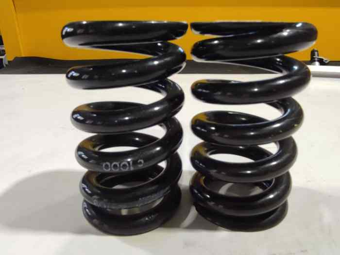 Rear Springs kit 1000 hardness - Formu...
