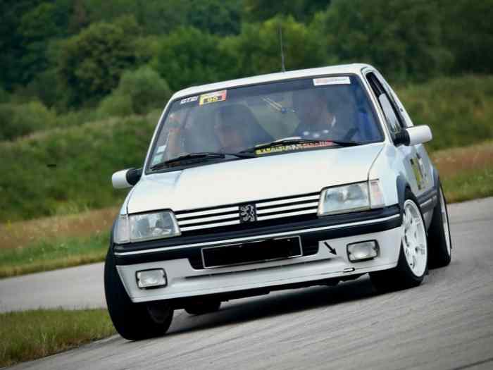 205 Gti 1