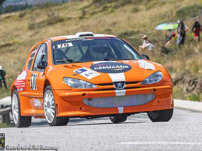 206 Maxi 2