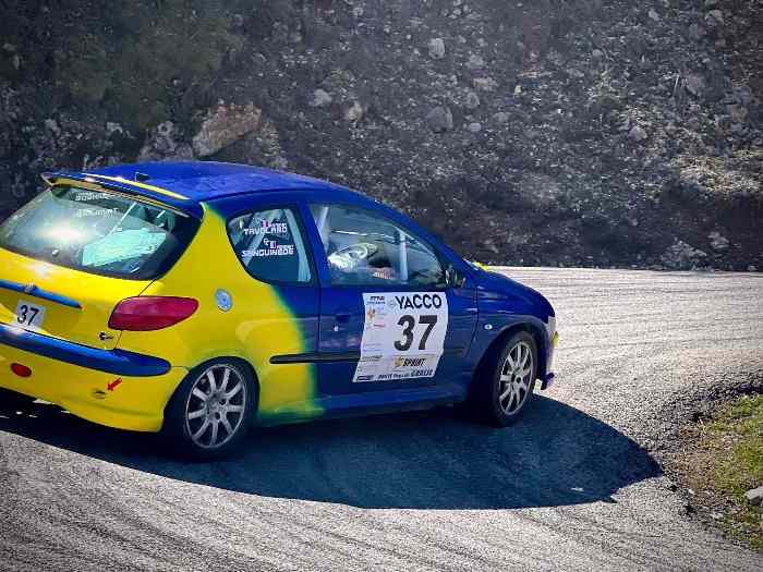 Peugeot 206s16 F2014 4