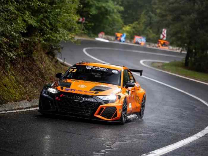 AUDI RS3 LMS TCR GEN 2