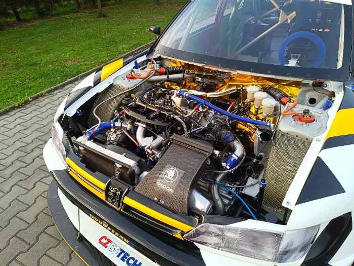 Peugeot 306 Maxi Hillclimb SPECIAL 2