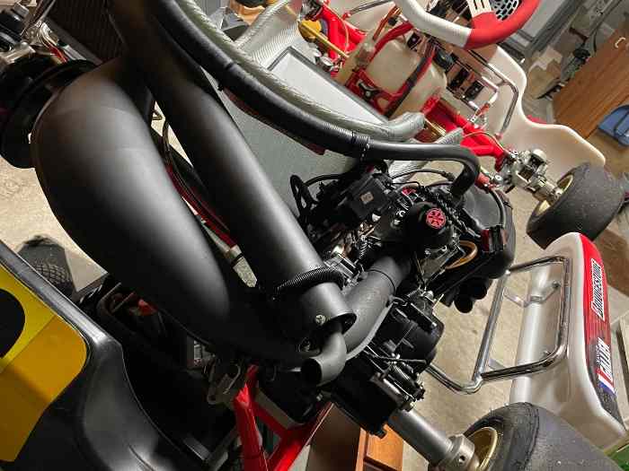 Rotax DD2 EVO 2023 2