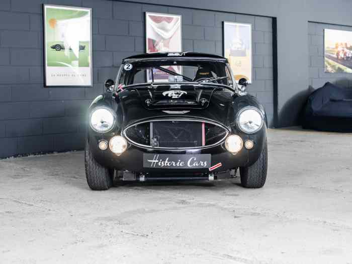 1961 AH 3000 GTS12 1