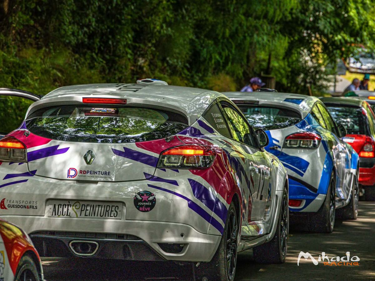 Megane 3 RS N4 (SONAS n°19) – photo 4 sur 6