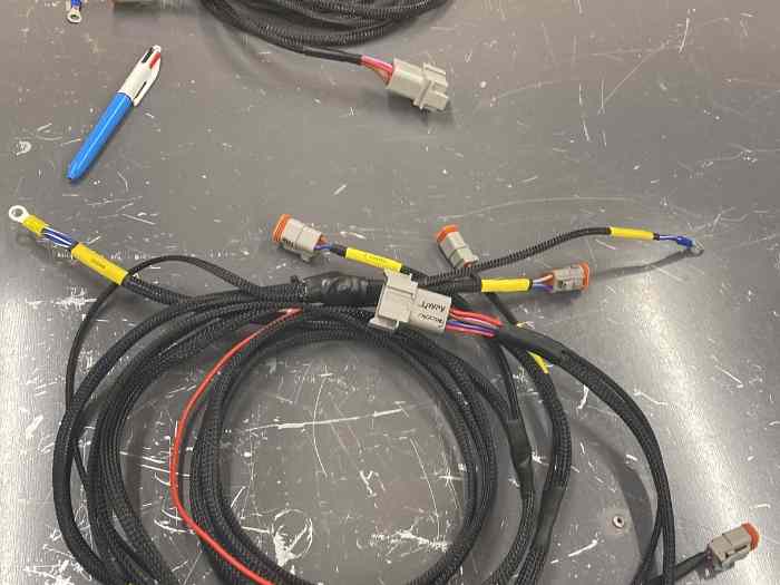 Calculateur erace + dash + faisceaux 2