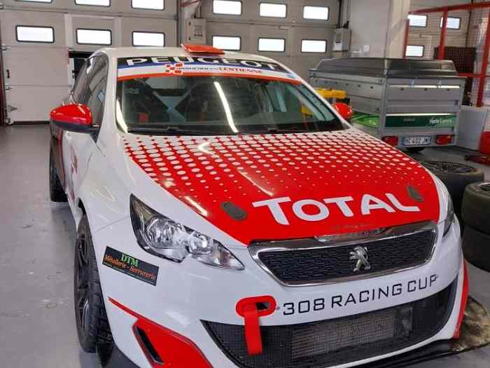 308 racing cup 5