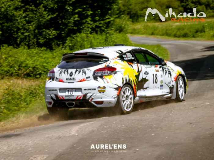 MEGANE RS A8 /BANG /PIECES N4 – photo 4 sur 6