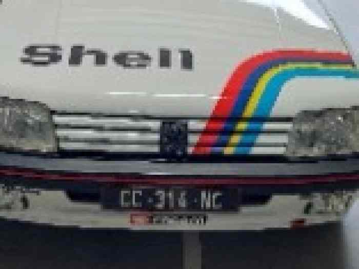 205 gti 1