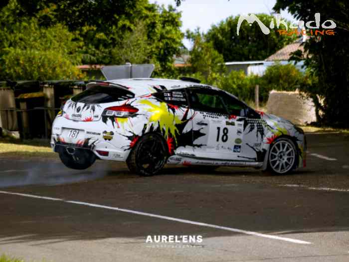 MEGANE RS A8 /BANG /PIECES N4 – photo 5 sur 6