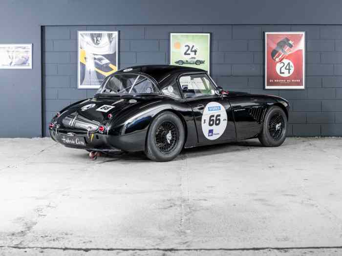 1961 AH 3000 GTS12 3