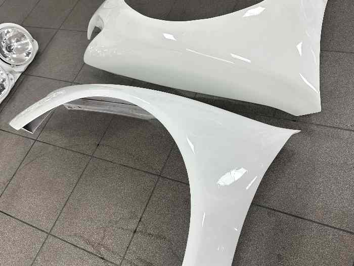 Vend 2 ailes tôle 306 maxi