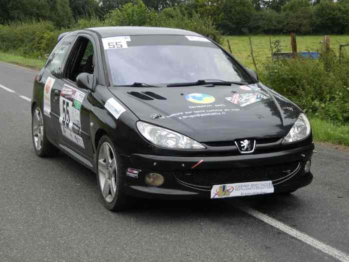Peugeot 206 rc N3 1