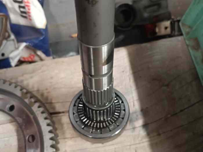 Couple court 14x67 transconcept 1