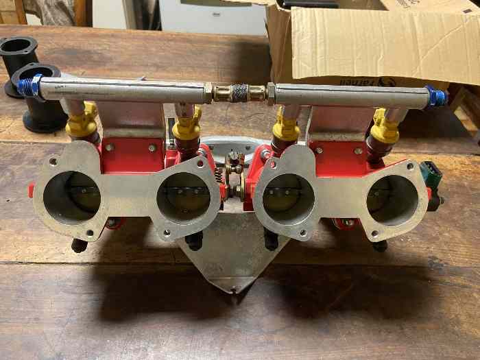 Papillon VDS 2