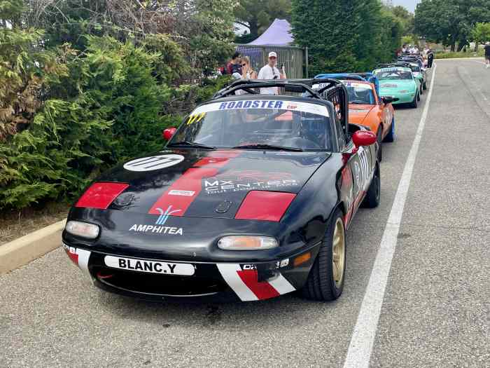 Mazda Roadster Procup 0