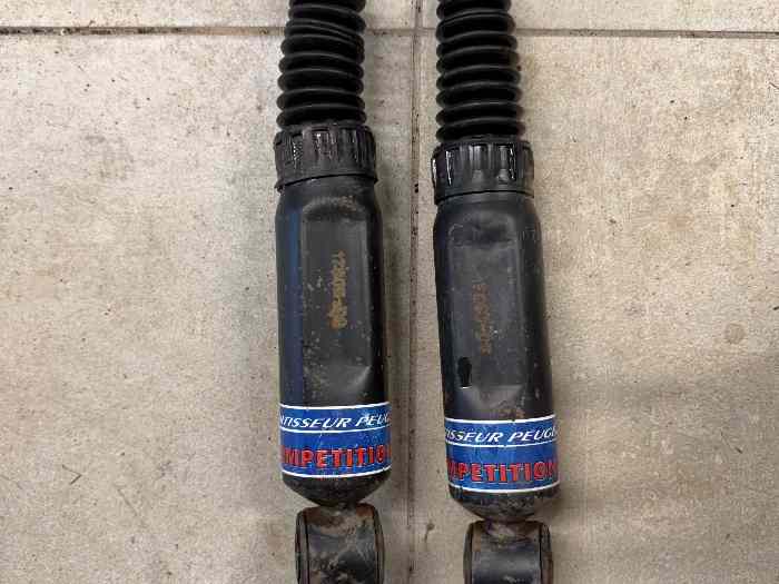 pivot PTS 205 309 gti 4