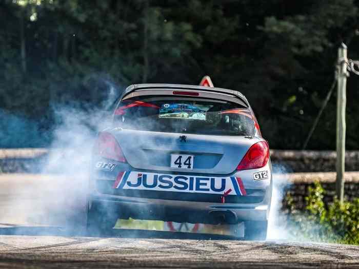 207 R3T Reprise possible 5