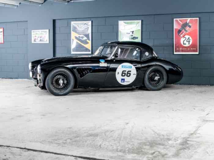 1961 AH 3000 GTS12 2