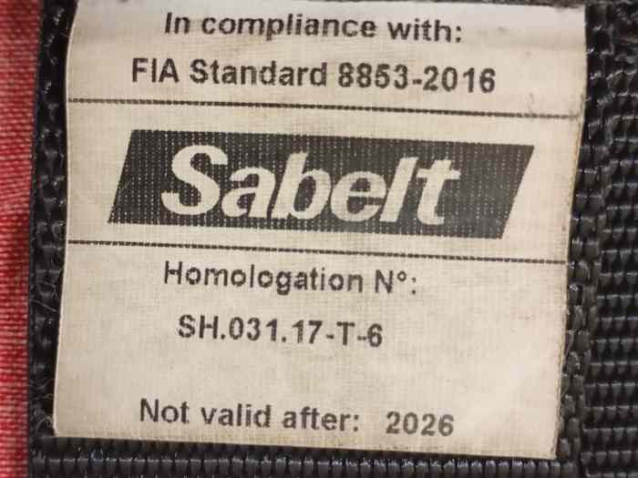 Harnais Sabelt Renault Sport RS Performance 1
