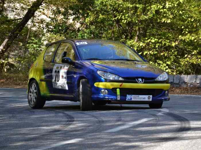 Peugeot 206s16 F2014 1