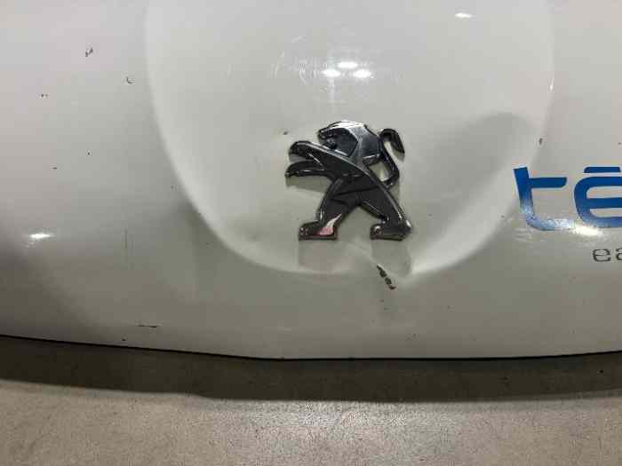 Capot Peugeot allégé 208 Racing Cup, d