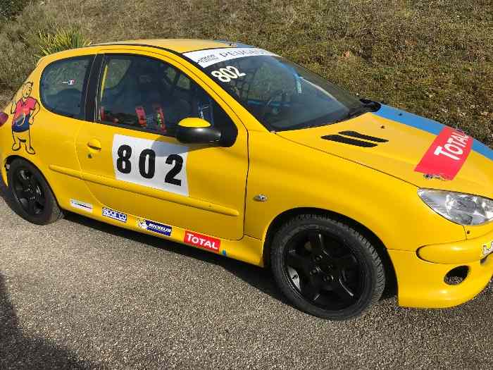 Peugeot 206 Rps 1