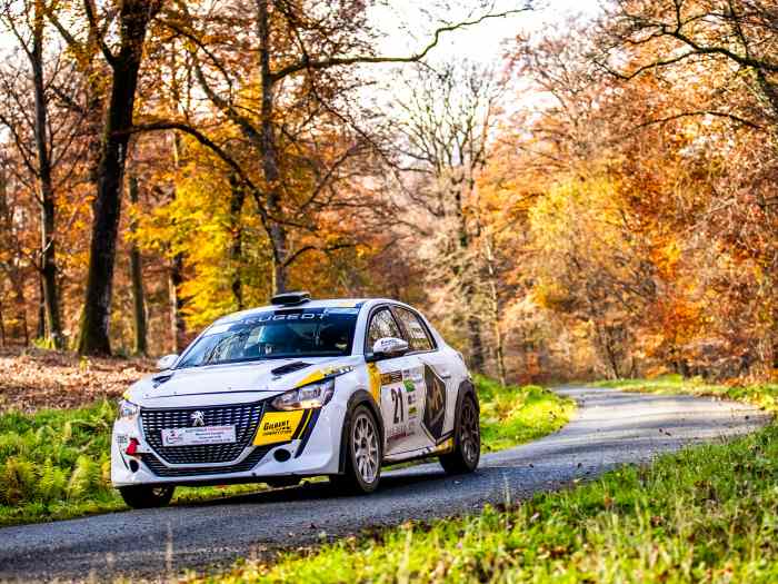 PEUGEOT 208 RALLY4 GILBERT COMPETITION 0