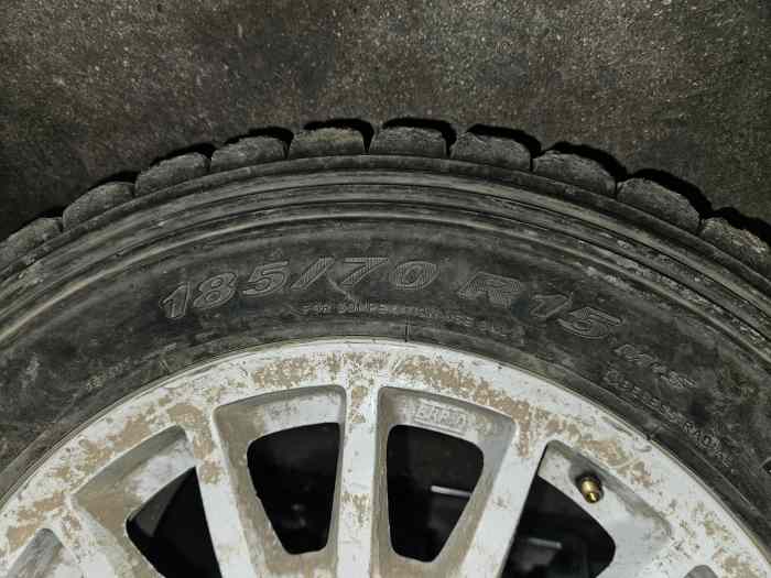 Pneu terre pirelli 1